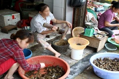 [Video] Tăng cường kiểm tra, xử phạt kinh doanh thực phẩm, nội tạng không rõ nguồn gốc