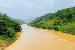 (Ảnh minh họa)