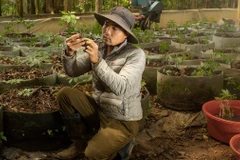 Từ “hạt ngọc quý” nơi “đỉnh trời” Ngọc Linh đến ước mơ đưa sản phẩm OCOP vươn tầm quốc tế