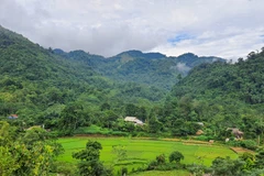 Thiên đường xanh giữa thung lũng hoang sơ
