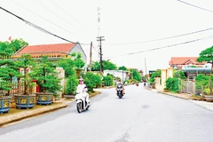 Một đường quê khang trang sạch đẹp tại Nam Điền, Nam Trực.