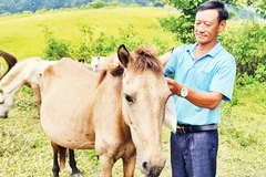 Anh Hồ Chử Vàng - nông dân điển hình làm kinh tế giỏi ở xã Phìn Hồ, huyện Nậm Pồ, tỉnh Điện Biên.