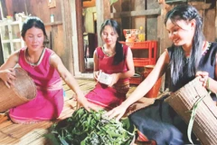 Lá sắn được người dân hái về chuẩn bị chế biến thành các món ăn.