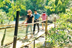 Khách du lịch tản bộ thăm rừng ở xã Trường Sơn, huyện Quảng Ninh.