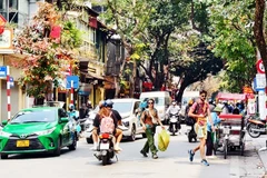 Biển cấm ô-tô đặt khuất sau cây, thường xuyên bị xe đỗ trả khách che khuất trên tuyến đường Hàng Bông, quận Hoàn Kiếm (Hà Nội).