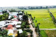 Nét quê trong lòng phố
