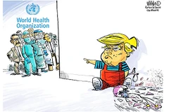 Biếm họa: DAVE WHAMOND