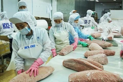 Chế biến cá ngừ xuất khẩu. Ảnh: NAM ANH