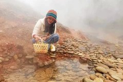 Luộc trứng tại điểm sôi hơn 100OC.