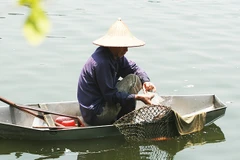 Theo ông đánh cá ao cho mẹ om húi trấu