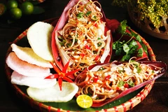 Đốm lửa của rừng