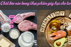 Chất béo nào trong thực phẩm gây hại cho tim?
