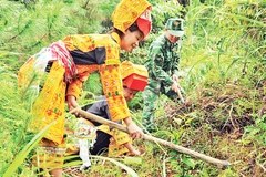 Cán bộ, chiến sĩ Đồn Biên phòng Ba Sơn, xã Cao Lâu, huyện Cao Lộc cùng người dân trồng cây trà hoa vàng.