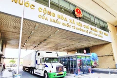 Xuất, nhập khẩu hàng hóa qua Cửa khẩu quốc tế đường bộ số II, Kim Thành (tỉnh Lào Cai).