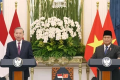 Việt Nam - Indonesia