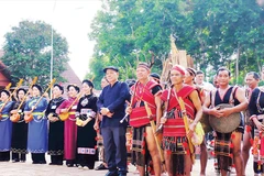 Sắc màu các dân tộc anh em tại huyện Bù Đăng tham dự lễ hội “Vang mãi tiếng chày trên sóc Bom Bo”.