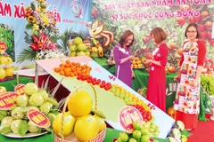 Nhiều hộ nông dân ở huyện Hữu Lũng đem sản phẩm đến tham dự trưng bày quảng cáo tại các lễ hội cây ăn quả của huyện và tỉnh. 