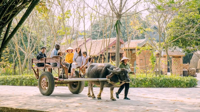 Du khách trải nghiệm "tour xe trâu" tại Hợp tác xã Sinh Dược.