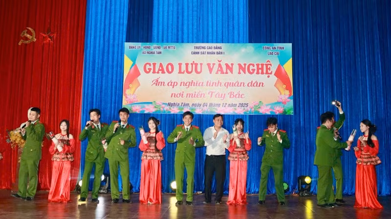 nt5-8985.jpg