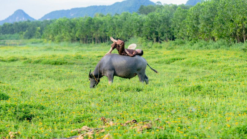 Khoảnh khắc "sống ảo" thu hút sự thích thú của du khách. 511089644-24346007594983829-3746501755374143603-n-9981.jpg