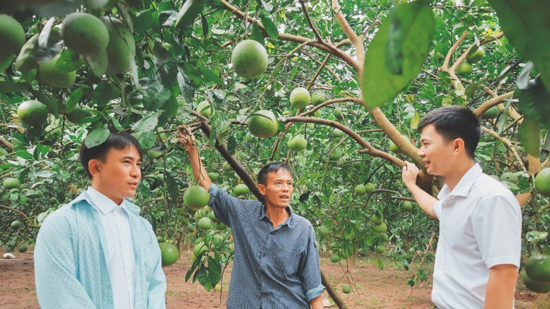 Xây dựng nông thôn mới góp phần thúc đẩy sản xuất nông nghiệp ở xã Phúc Lộc (Hà Nội). (Ảnh NGUYỄN MAI) xay-dung-nong-thon-moi-gop-phan-thuc-day-san-xuat-nong-nghiep-o-xa-phuc-loc-ha-noi-anh-nguyen-mai-2731.jpg