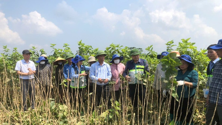 Trung tâm Khuyến nông quốc gia hỗ trợ nhân dân Lào Cai khôi phục sản xuất sau mưa lũ tháng 10 năm 2025. trung-tam-khuyen-nong-quoc-gia-ho-tro-nhan-dan-lao-cai-khoi-phuc-san-xuat-sau-mua-lu-thang-10-nam-2025-7767.jpg