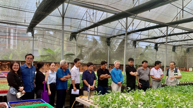 cac-dai-bieu-tham-quan-mo-hinh-trong-rau-thuy-canh-tai-thanh-pho-ho-chi-minh-anh-do-tuan-5745.jpg