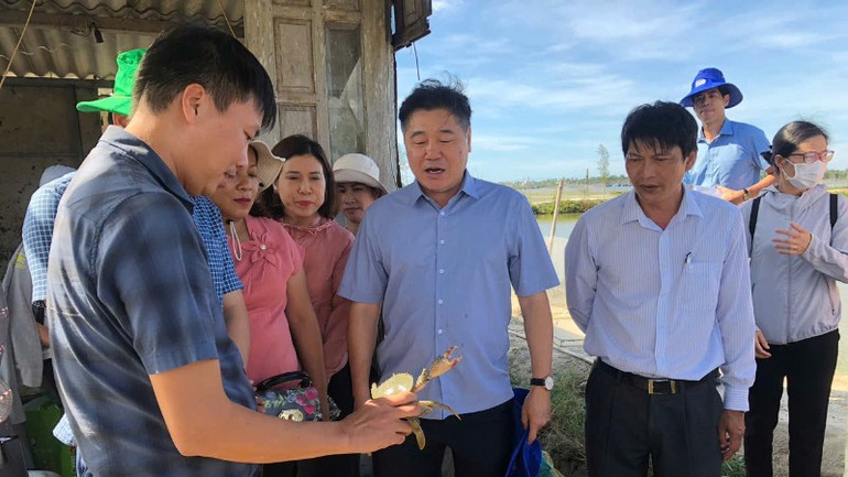 Hệ thống khuyến nông xây dựng mô hình nuôi cua gạch ở thành phố Huế. he-thong-khuyen-nong-xay-dung-mo-hinh-nuoi-cua-gach-o-thanh-pho-hue-7352.jpg