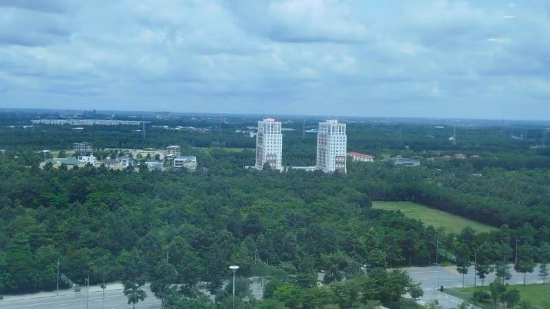 Cây xanh tại phường Bình Dương (Thành phố Hồ Chí Minh) được Tổng Công ty Becamex IDC đã trồng trong thời gian qua. 