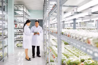 Phòng nuôi cấy mô cây giống, Khu Nông nghiệp công nghệ cao Thành phố Hồ Chí Minh.