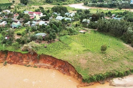 Sạt lở bờ sông Pô Kô ngày càng nghiêm trọng, nguy cơ mất vùng đất sản xuất nông nghiệp xã Dục Nông.