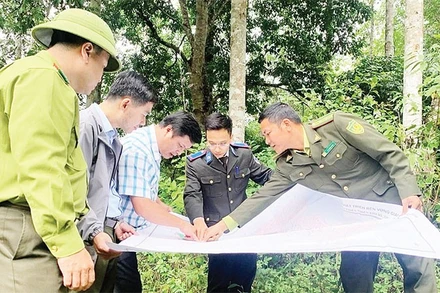 Các đơn vị chức năng và kiểm lâm Thái Nguyên kiểm tra, rà soát quy hoạch rừng để làm cơ sở giao đất, giao rừng cho người dân và cộng đồng bảo vệ, quản lý.