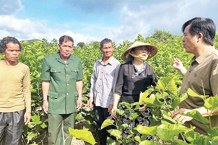 Cán bộ xã, hội đoàn thể xã Bờ Y trao đổi kinh nghiệm trồng cây nông nghiệp.