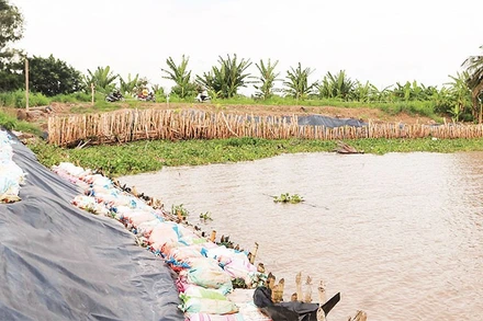 Tuyến đê biển quốc gia đoạn đi qua ấp Giồng Bàn, xã Long Vĩnh bị sạt lở chân đê, dài 70m.