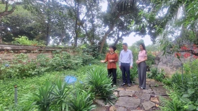 Giới thiệu vườn cây thuốc nam trong khuôn viên Đền Thánh Nguyễn ở xã Tiến Thắng, huyện Gia Viễn (Ninh Bình).