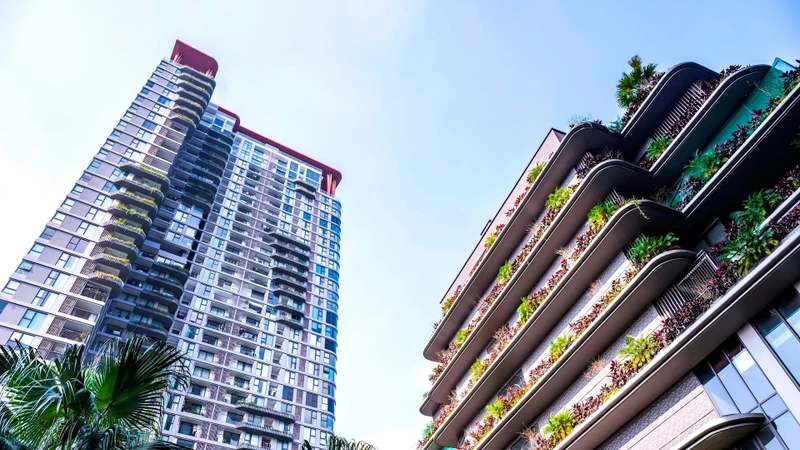 Ảnh: Thành Đạt