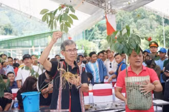 Sâm Ngọc Linh được giới thiệu, bày bán tại các phiên chợ sâm Ngọc Linh do huyện Nam Trà My (Quảng Nam) tổ chức.