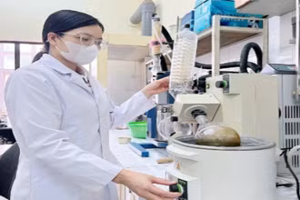 Cán bộ Viện Hóa học chiết xuất hoạt chất từ cây vông để bào chế chế phẩm hỗ trợ điều trị tiểu đường. (Ảnh MINH DUY)