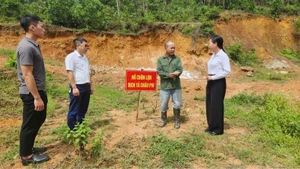 Cán bộ ngành nông nghiệp tuyên truyền, hướng dẫn người dân phường Bình Khê tiêu huỷ lợn dịch đúng quy định.