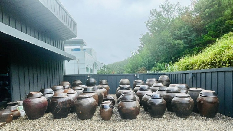 The area where the soy sauce jars are located in Laseonjae. ngam-tuong-8121.jpg