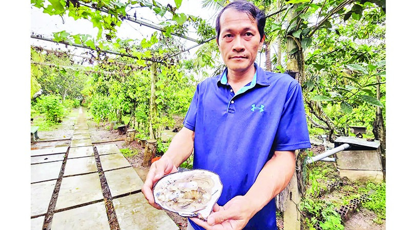 Ngọc trai được chế tác thành những đồ trang sức tinh xảo.