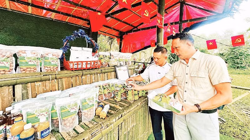 Xã biên giới Sa Loong mở rộng hợp tác với doanh nghiệp, hợp tác xã hình thành chuỗi sản xuất, tiêu thụ nông sản.