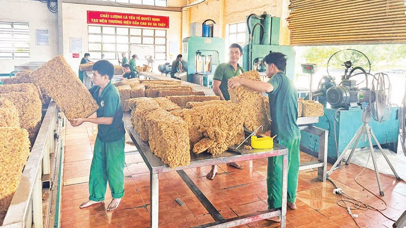 Ngành công nghiệp cao-su mang lại nguồn thu nhập ổn định cho người dân và các doanh nghiệp.