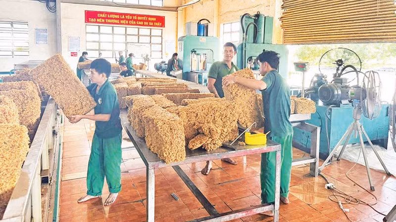 Ngành công nghiệp cao-su mang lại nguồn thu nhập ổn định cho người dân và các doanh nghiệp.
