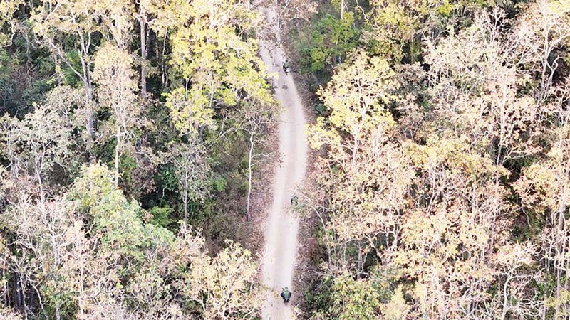 Lực lượng quản lý, bảo vệ rừng của Ban Quản lý rừng phòng hộ Nam Cát Tiên, tỉnh Lâm Đồng trên các cung đường tuần tra rừng dịp Tết Nguyên đán.
