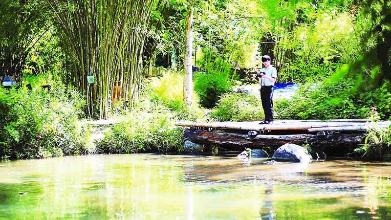 1- Hồ nước nằm giữa khu vườn giúp không gian thêm mát mẻ. 