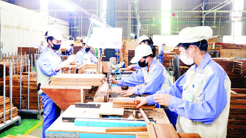 Dây chuyền sản xuất đồ gỗ nội, ngoại thất xuất khẩu của Công ty cổ phần Woodsland Tuyên Quang.