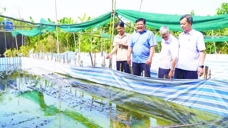 Đồng chí Phan Thanh Phương (thứ hai từ trái sang) đến thăm mô hình nuôi ếch sinh sản ở ấp Bình Hòa, xã Bình Thành.