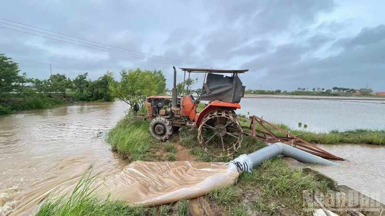 Xã Phụ Dực huy động máy bơm dã chiến tiêu úng nhanh trong nội đồng. ndo_br_4-2-1.jpg