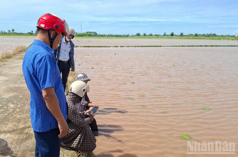 Cán bộ kỹ thuật xã Đông Tiền Hải đi thực tế tại các cánh đồng ngập sâu trên địa bàn. ndo_br_2.jpg